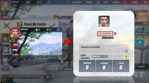 how to find ros mobile role id