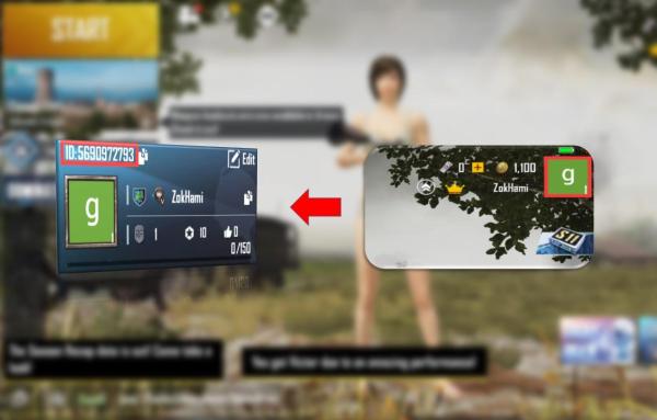 how to find Pubg m player id